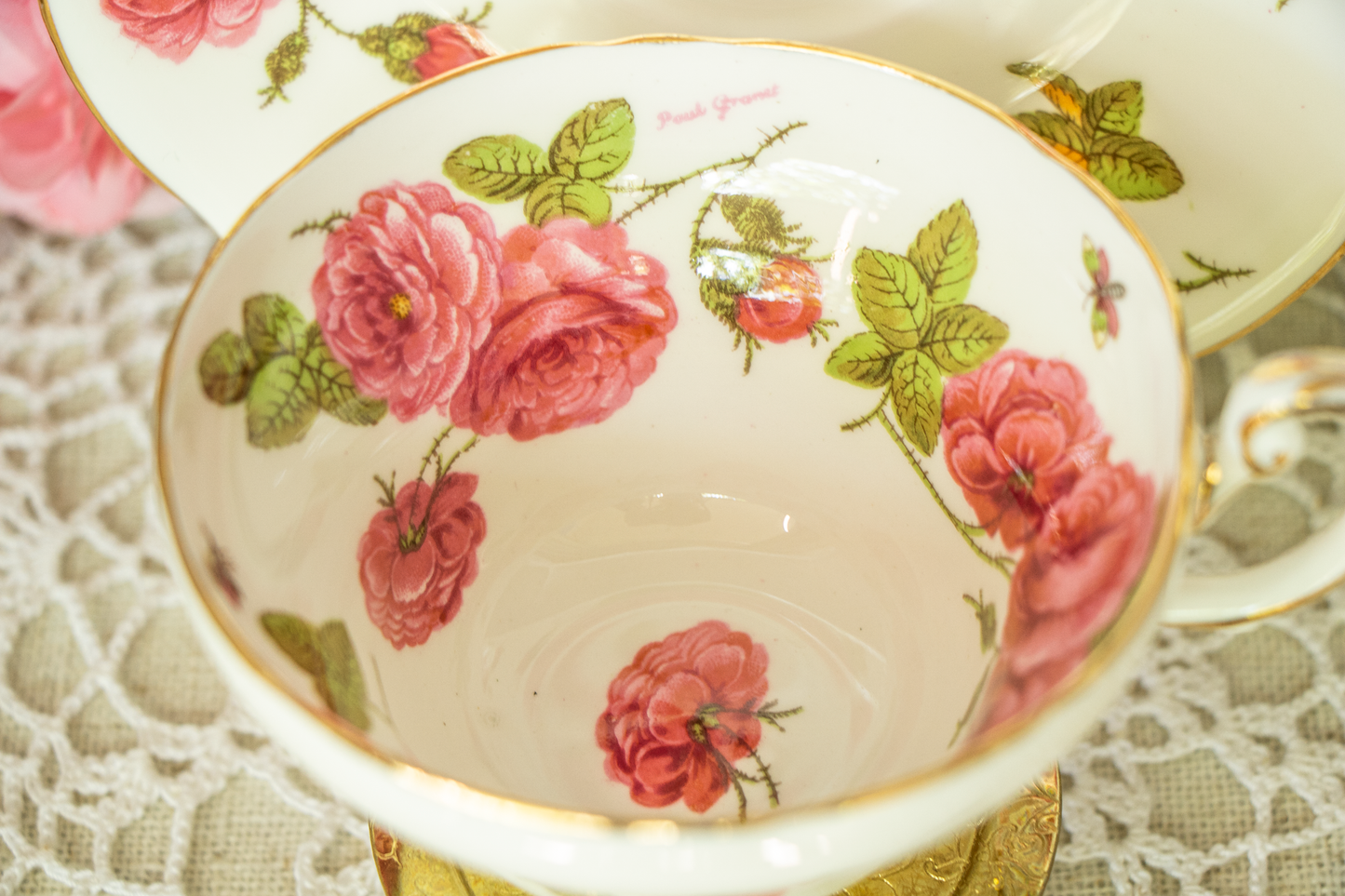 Foley Century Rose Teacup & Saucer - Mint Condition - Signed by Paul Granet - 1950 Centennial Edition