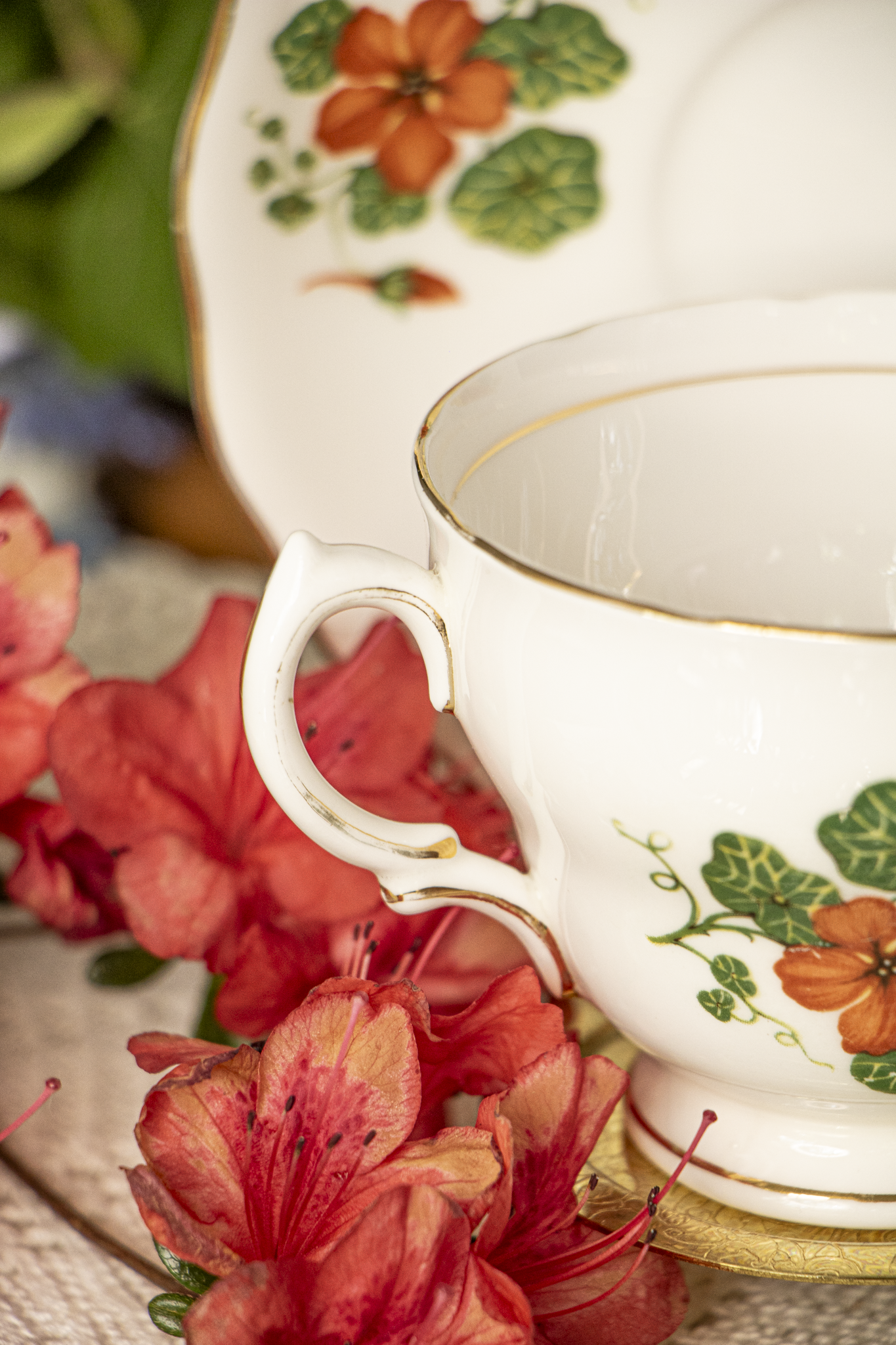 Colclough Fine Bone China Teacup and Saucer – Orange Nasturtium Pattern (D0)