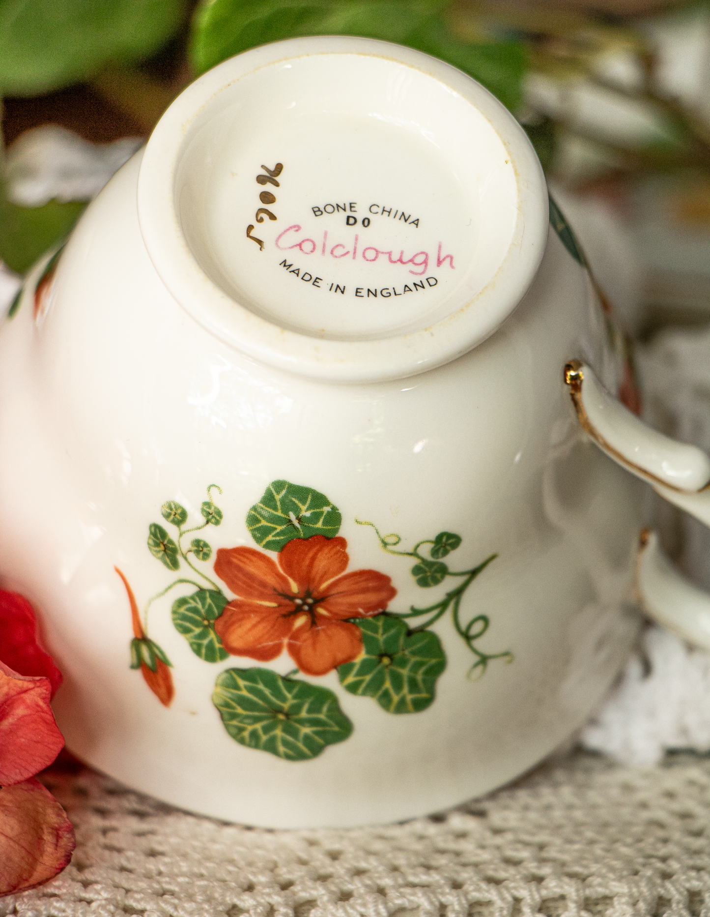 Colclough Fine Bone China Teacup and Saucer – Orange Nasturtium Pattern (D0)