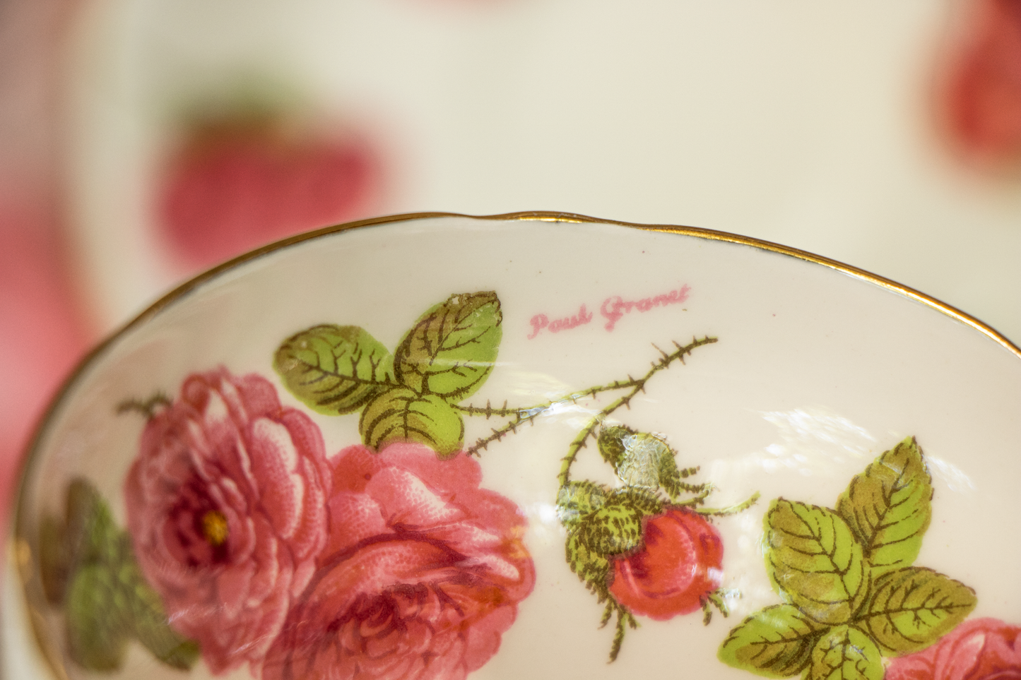 Foley Century Rose Teacup & Saucer - Mint Condition - Signed by Paul Granet - 1950 Centennial Edition