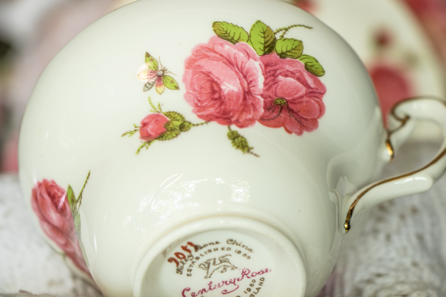 Foley Century Rose Teacup & Saucer - Mint Condition - Signed by Paul Granet - 1950 Centennial Edition